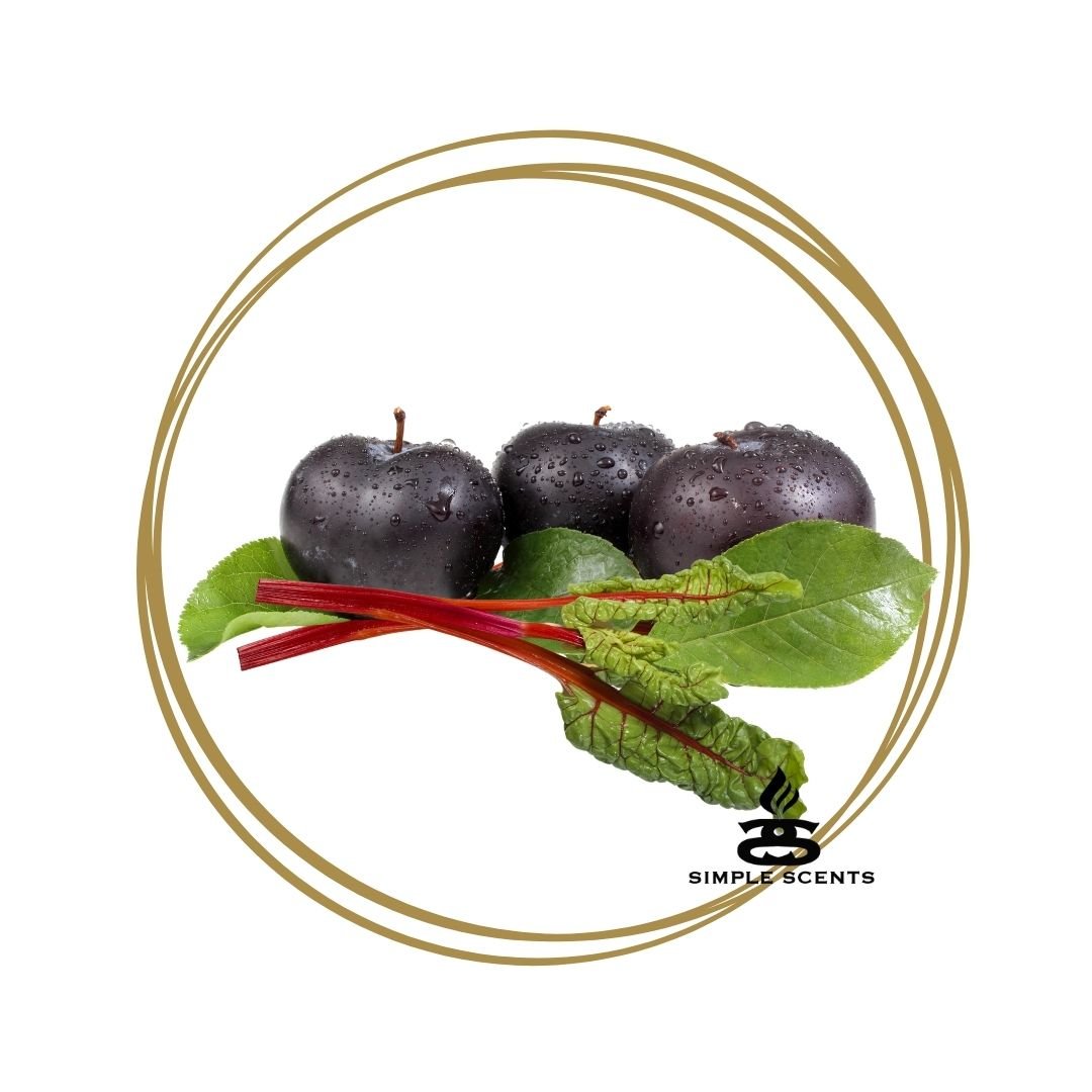 Black Plum & Rhubarb - Simple Scents Excellence Reed Diffuser - Popular trends empire