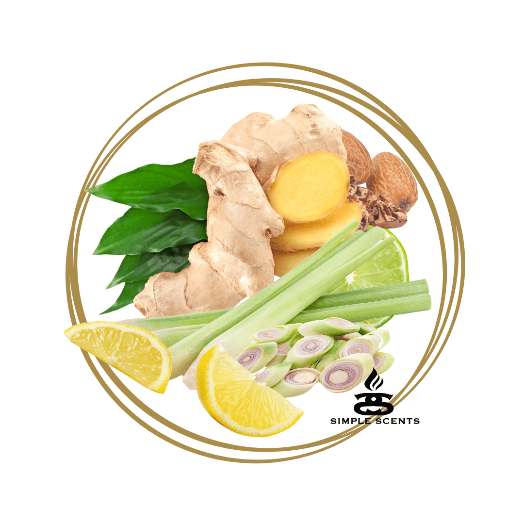 Lemongrass & Ginger Simple Scents Excellence Reed Diffuser - Popular trends empire