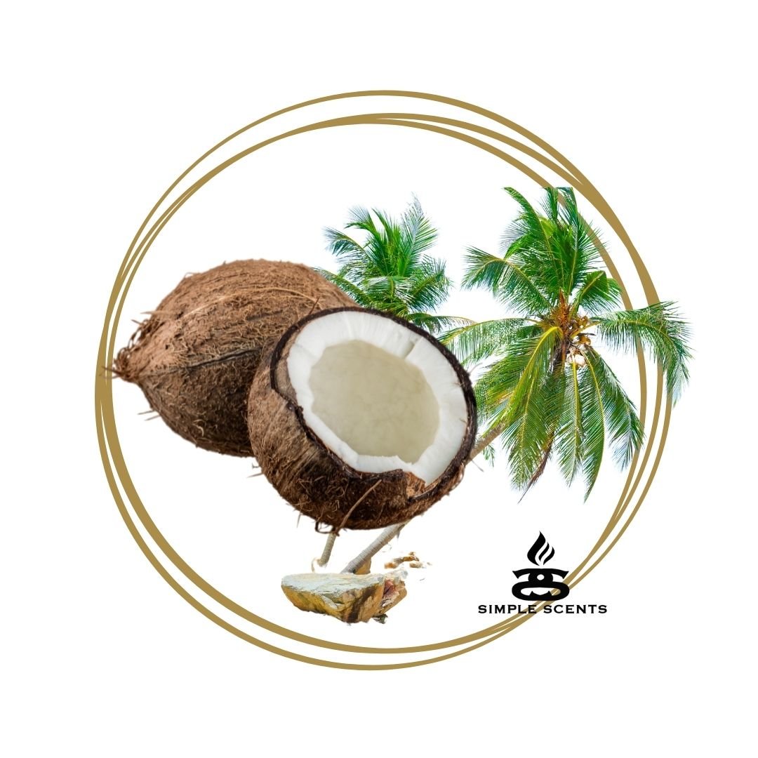 Coconut Island - Simple Scents Ambience Large Twirl Style Wax Melts - Popular trends empire