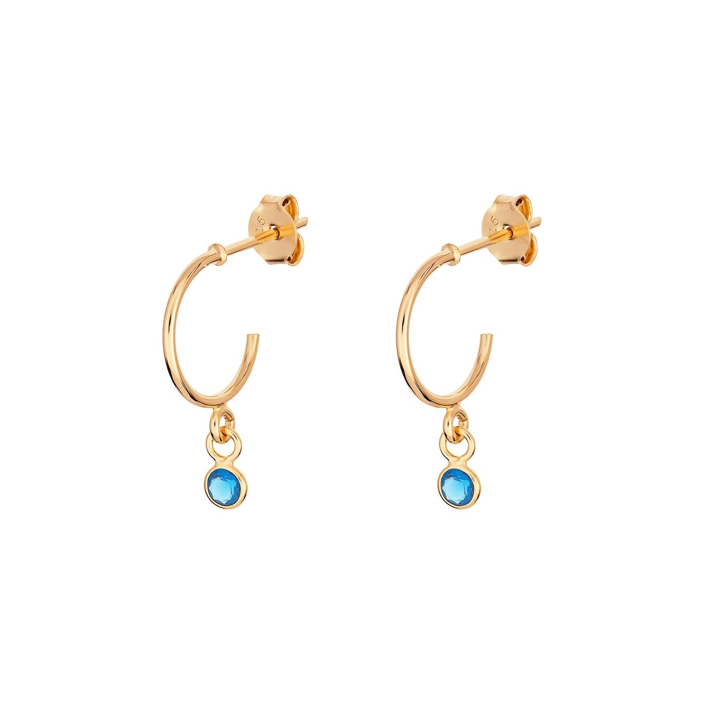 December Birthstone Hoop Earrings - Popular trends empire