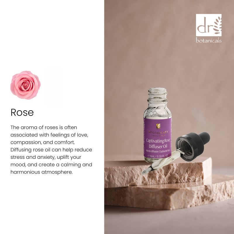 Dr Botanicals Captivating Rose Diffuser Oil 10ml Twin Value Savings Pack - Popular trends empire