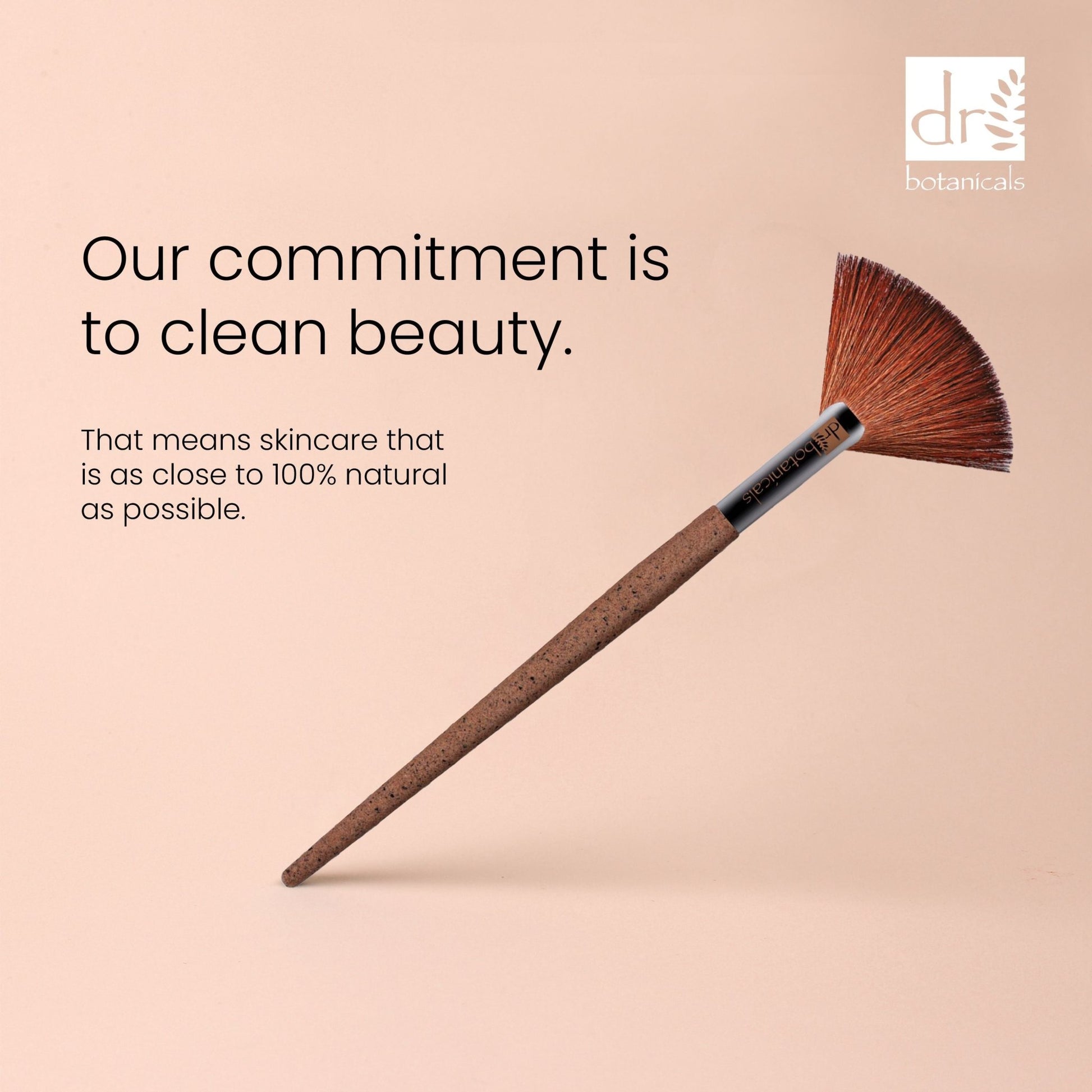 Dr Botanicals Coffee Ground Fan Brush Twin Value Savings Pack - Popular trends empire