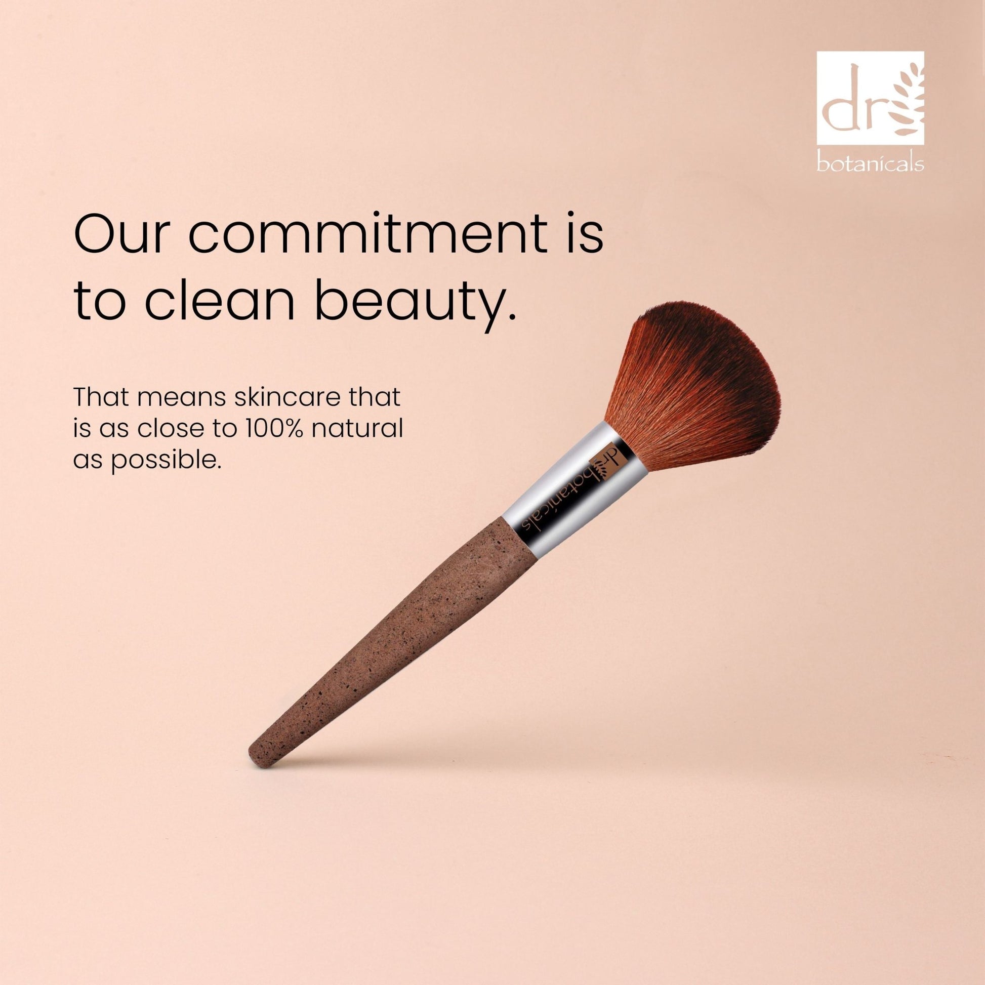 Dr Botanicals Coffee Ground Powder Brush Twin Value Savings Pack - Popular trends empire