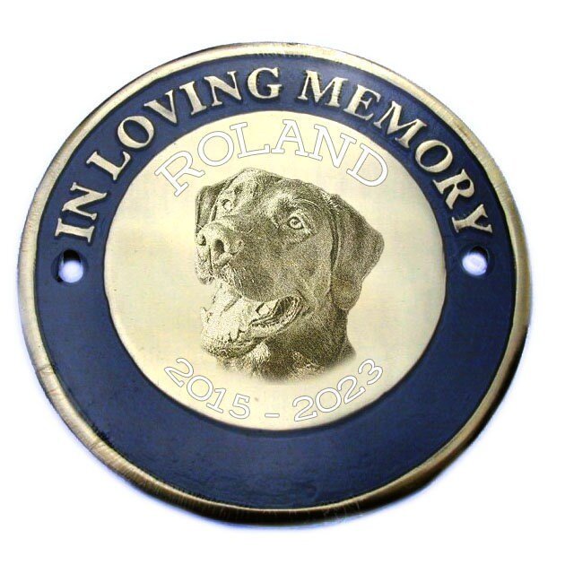 Engraved Brass Bench Plate - Custom Memorial Plaque | Personalised Photo Tribute - Popular trends empire