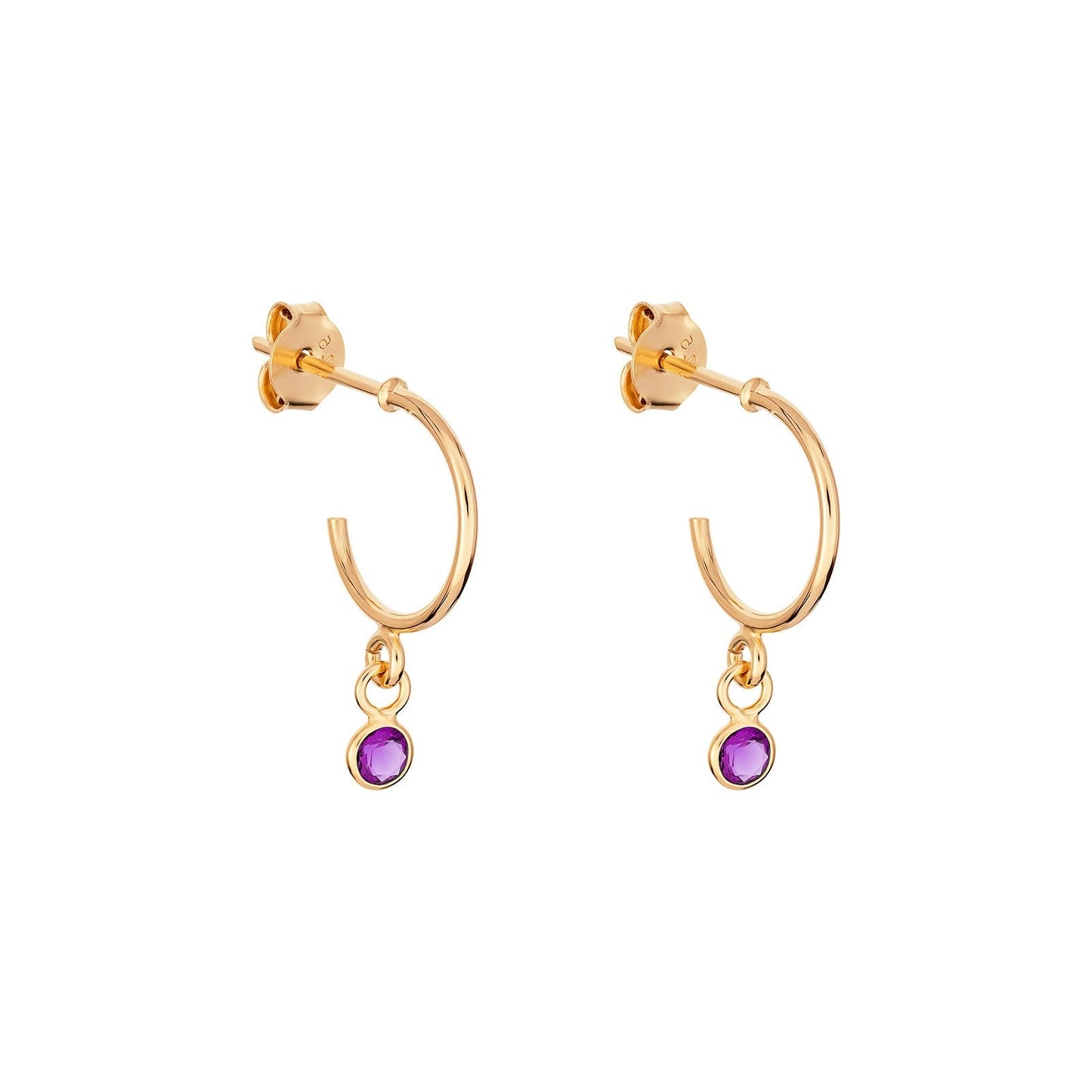 February Birthstone Hoop Earrings - Popular trends empire