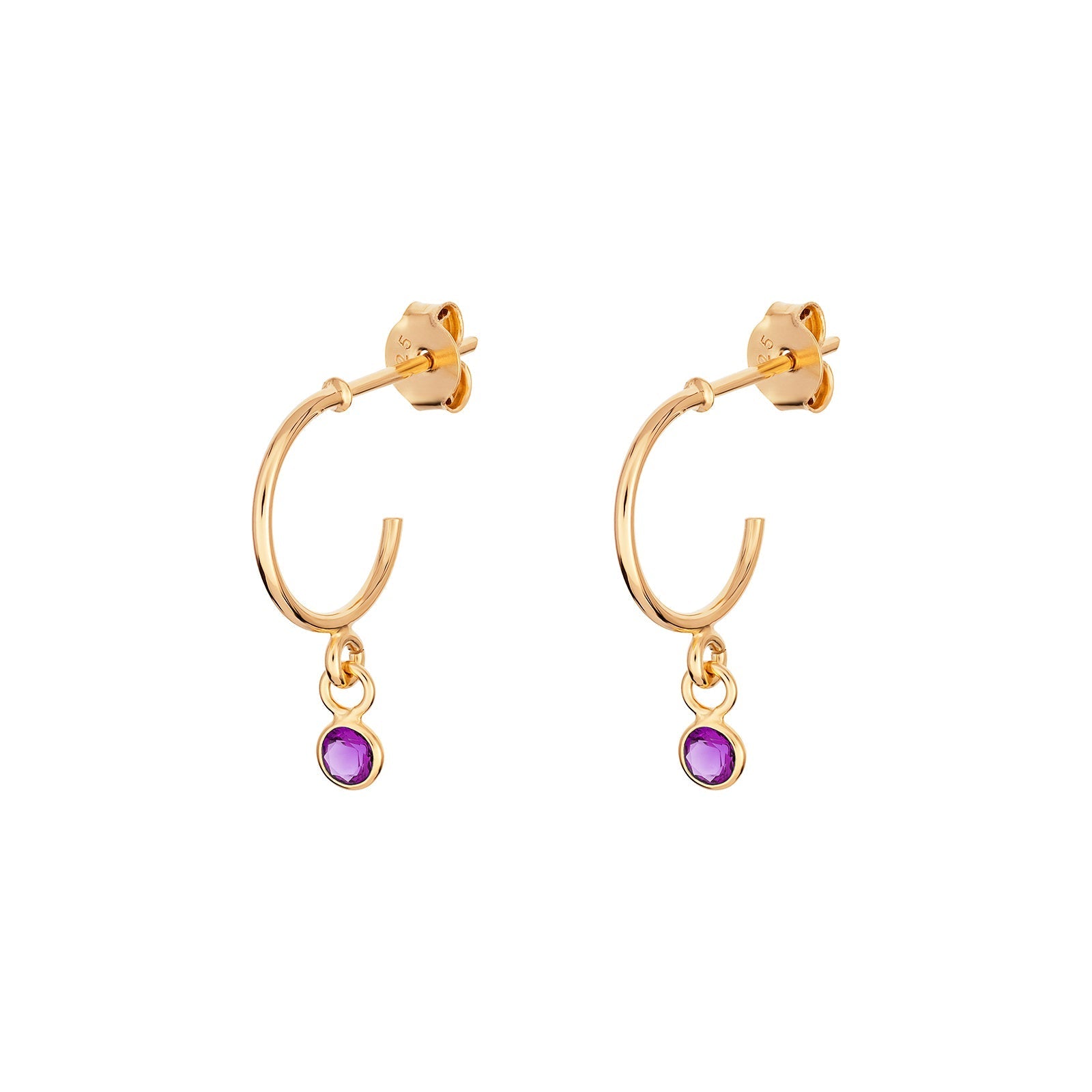 February Birthstone Hoop Earrings - Popular trends empire