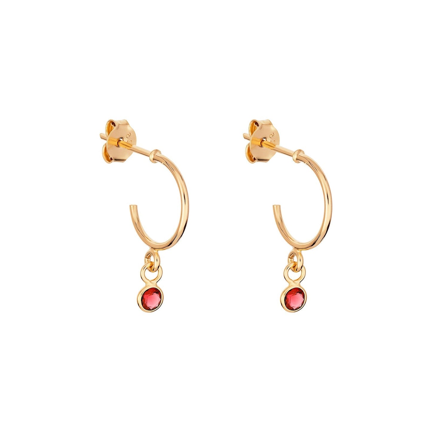 January Birthstone Hoop Earrings - Popular trends empire