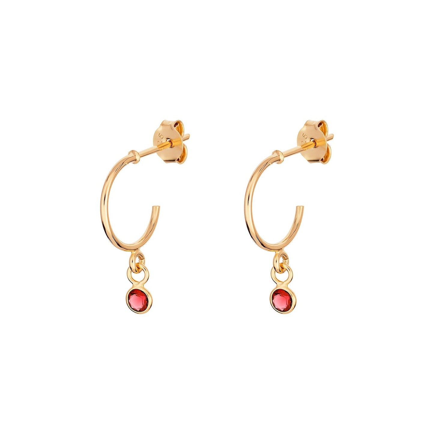 January Birthstone Hoop Earrings - Popular trends empire