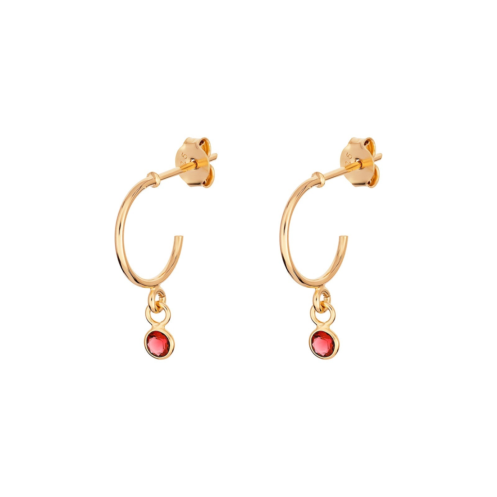 January Birthstone Hoop Earrings - Popular trends empire