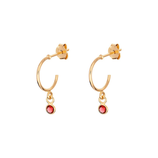 January Birthstone Hoop Earrings - Popular trends empire