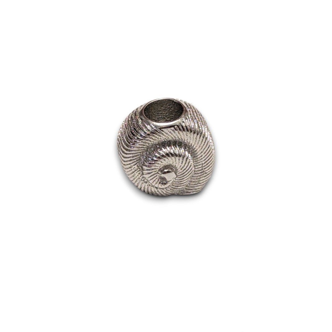 Nautilus Sea Shell Bead Charm - Popular trends empire