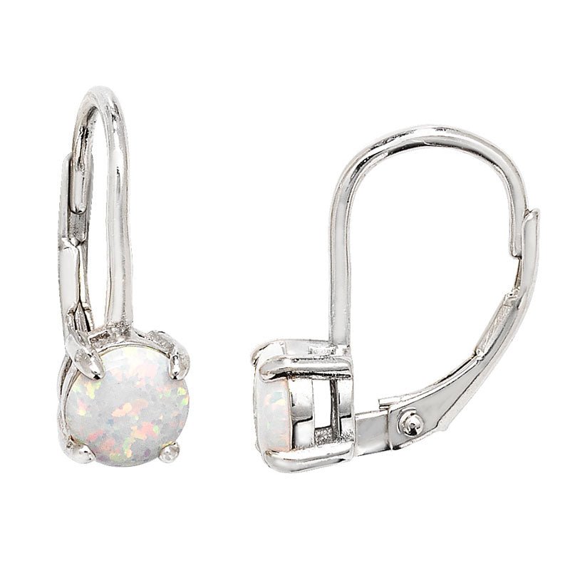 Opal Hinge Drop Earrings - Popular trends empire