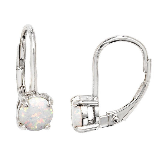 Opal Hinge Drop Earrings - Popular trends empire