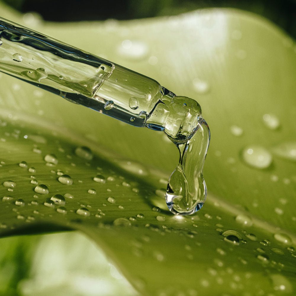 Palmarose Essential Organic Oil 15ml - Popular trends empire