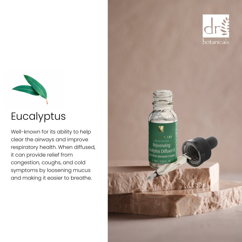Rejuvenating Eucalyptus Diffuser Oil 10ml - Popular trends empire