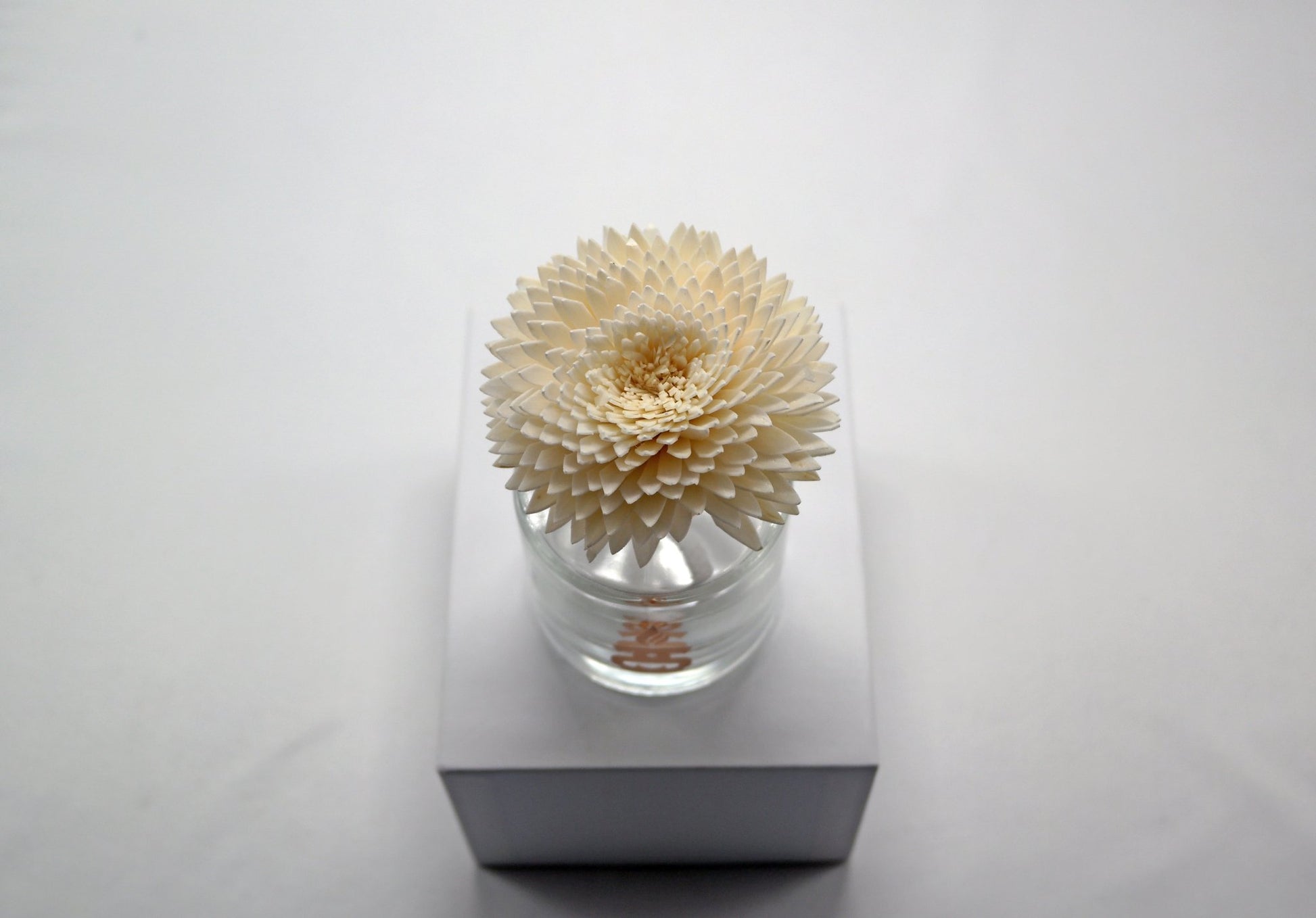 Sola Wood Flower Diffuser Reed With Cotton Wick - Popular trends empire