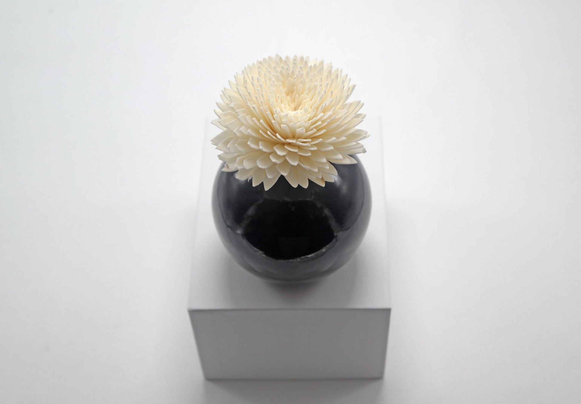 Sola Wood Flower Diffuser Reed With Cotton Wick - Popular trends empire