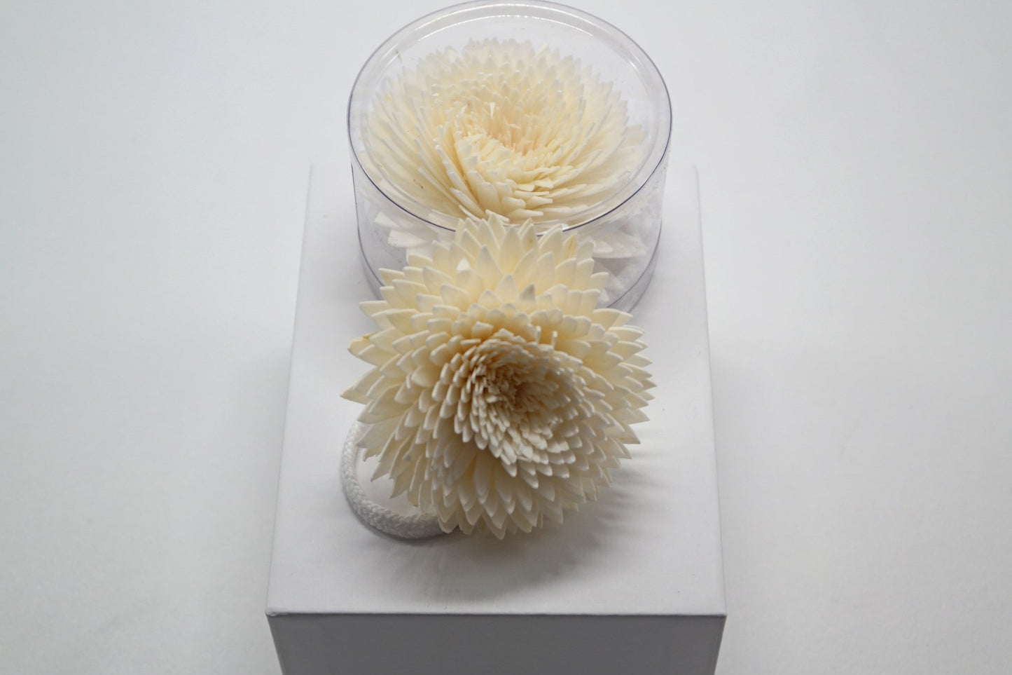 Sola Wood Flower Diffuser Reed With Cotton Wick - Popular trends empire