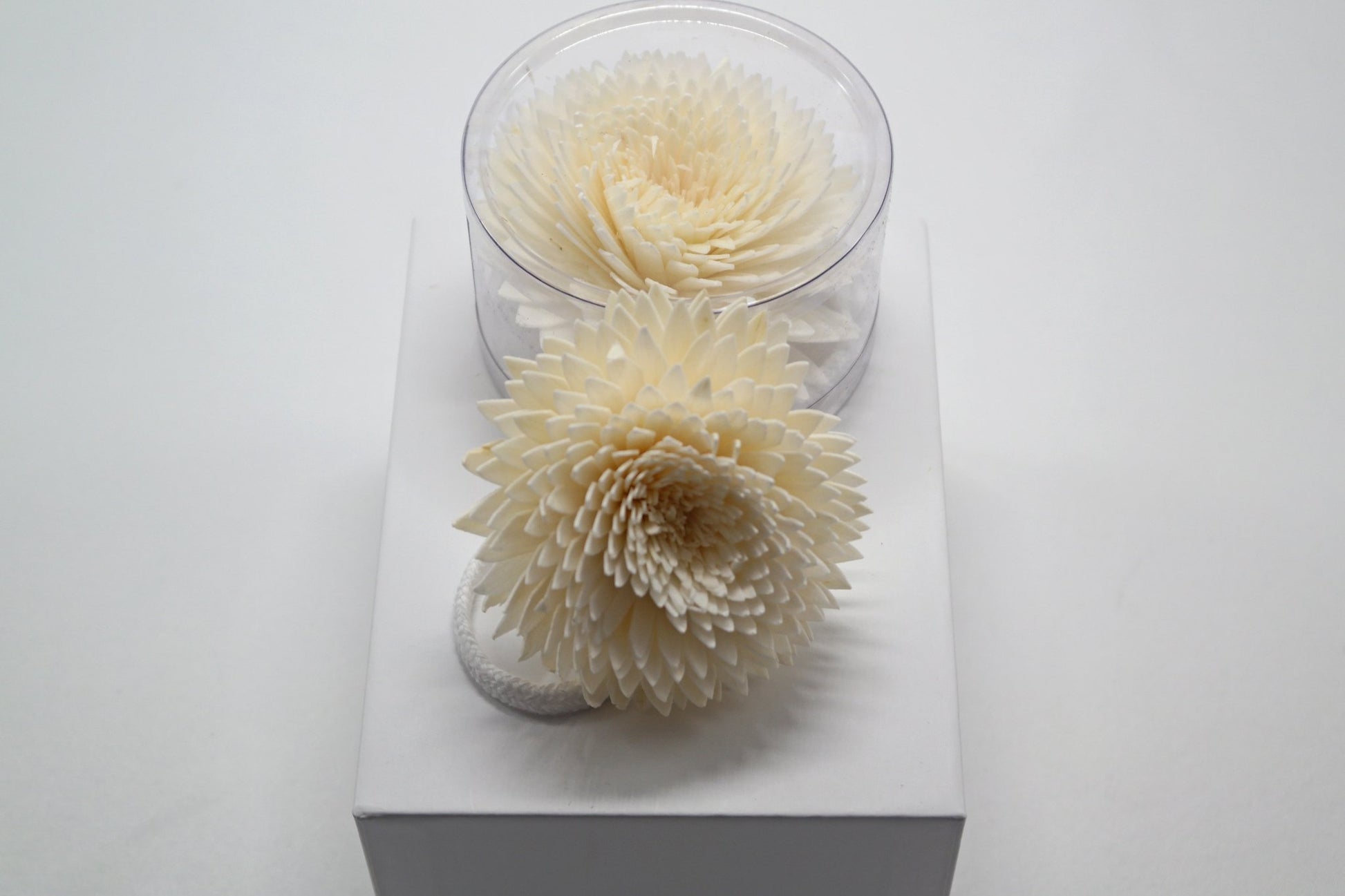 Sola Wood Flower Diffuser Reed With Cotton Wick - Popular trends empire