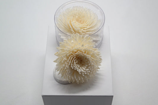 Sola Wood Flower Diffuser Reed With Cotton Wick - Popular trends empire