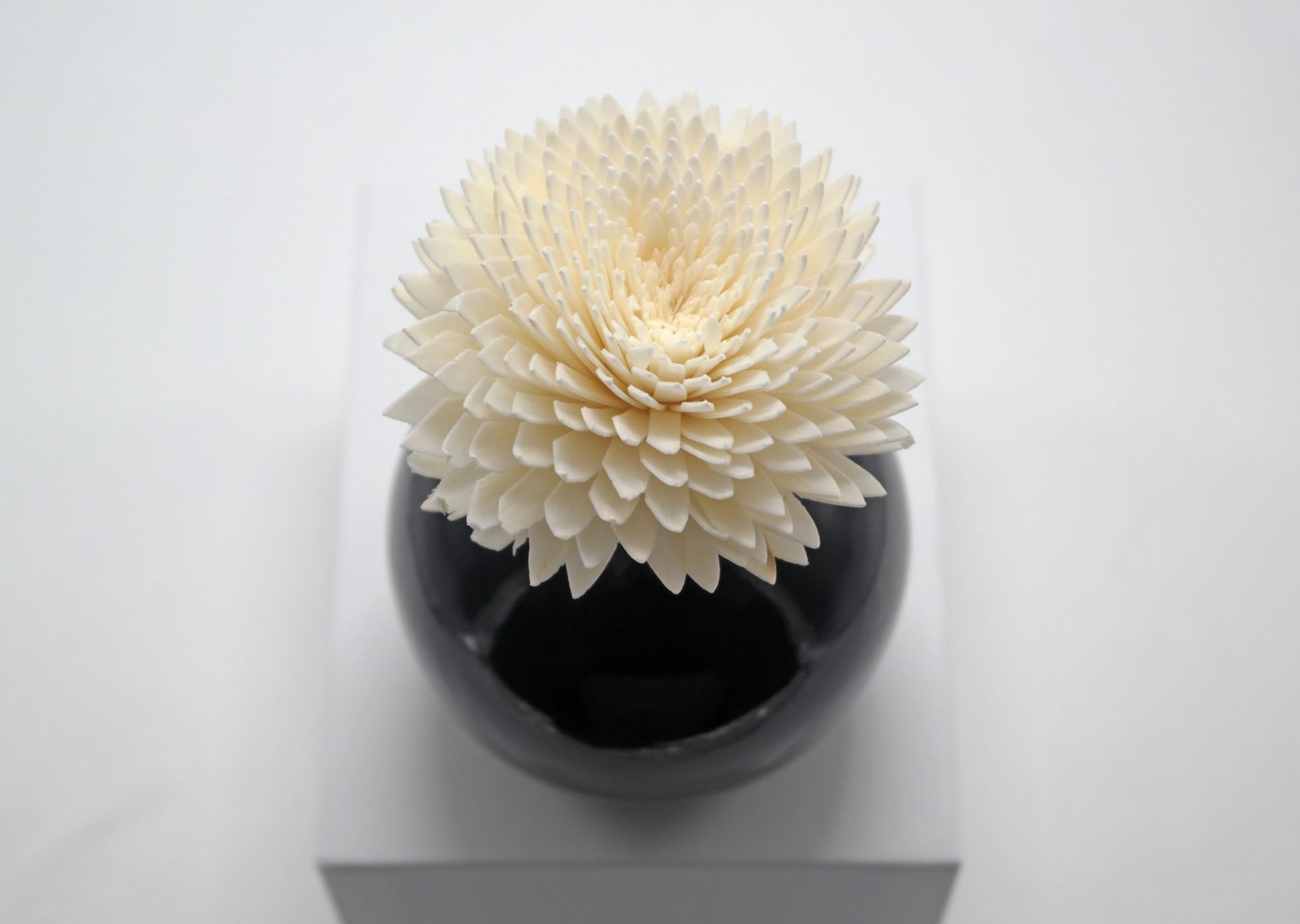 Sola Wood Flower Diffuser Reed With Cotton Wick - Popular trends empire