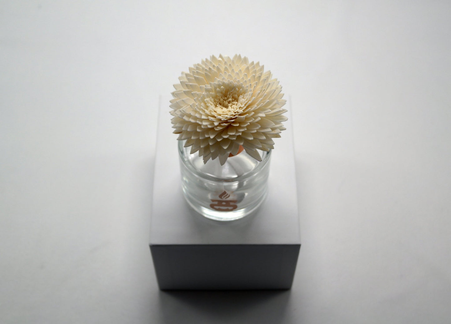 Sola Wood Flower Diffuser Reed With Cotton Wick - Popular trends empire