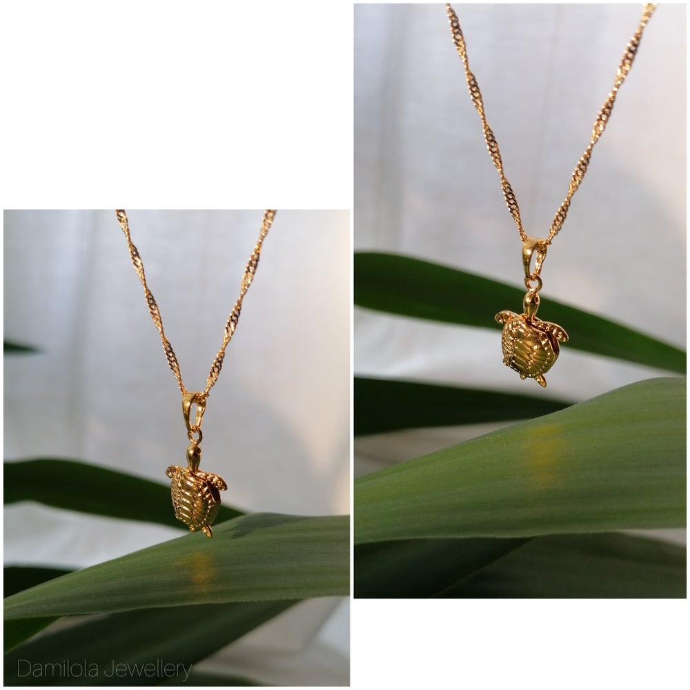 'The Lucky Turtle' - Popular trends empire