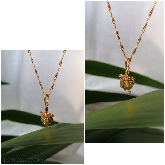 'The Lucky Turtle' - Popular trends empire