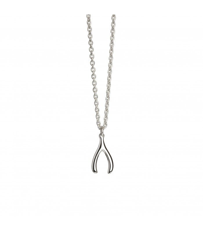 Wishbone Necklace - Popular trends empire