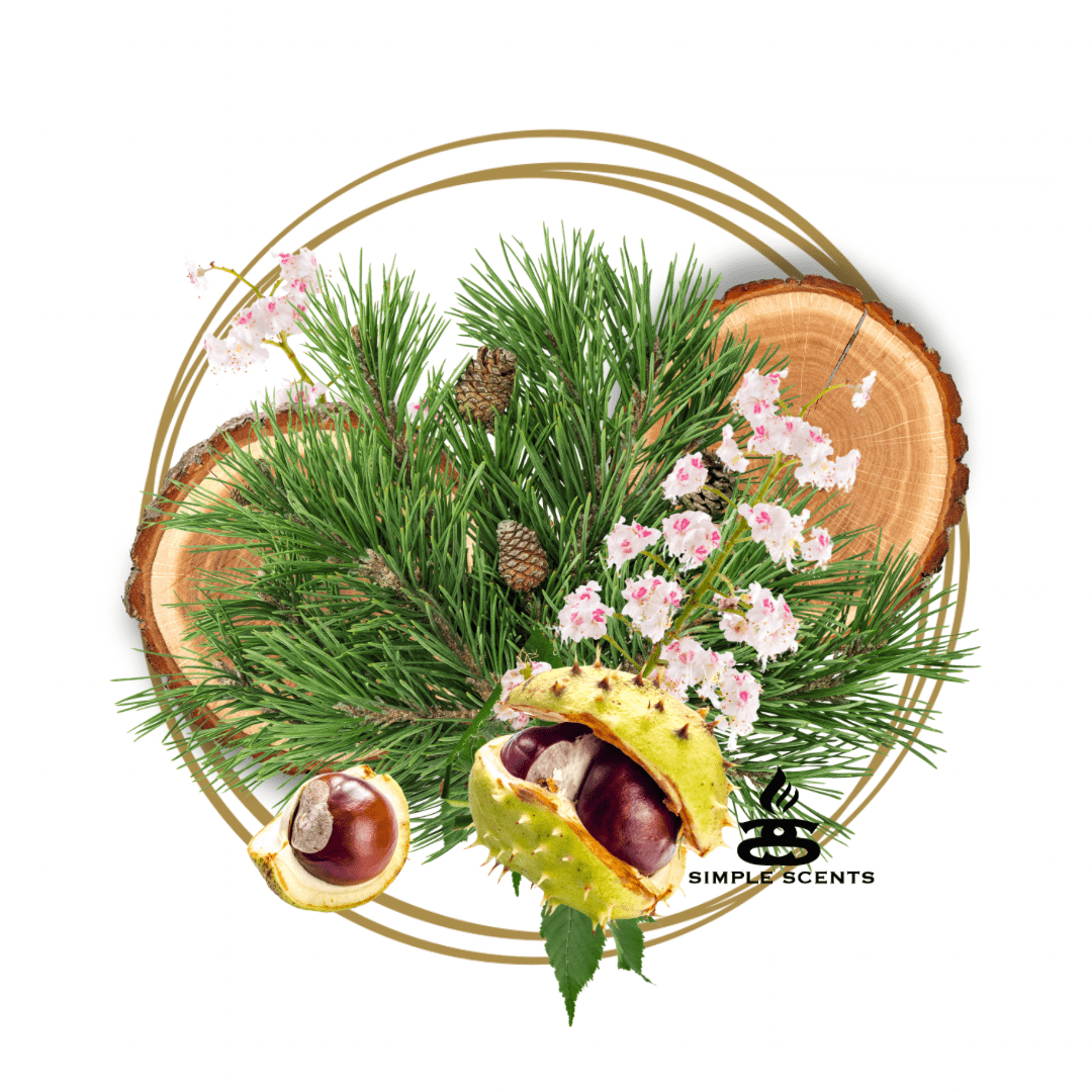 Woodland Firs & Horse Chestnut - Simple Scents Excellence Reed Diffuser - Popular trends empire